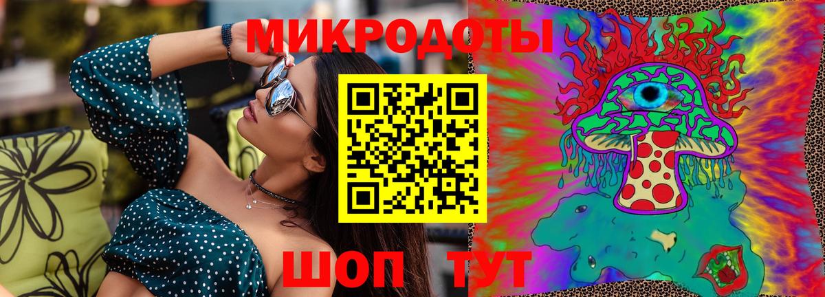 Псилоцибиновые грибы Psilocybine cubensis Петропавловск-Камчатский