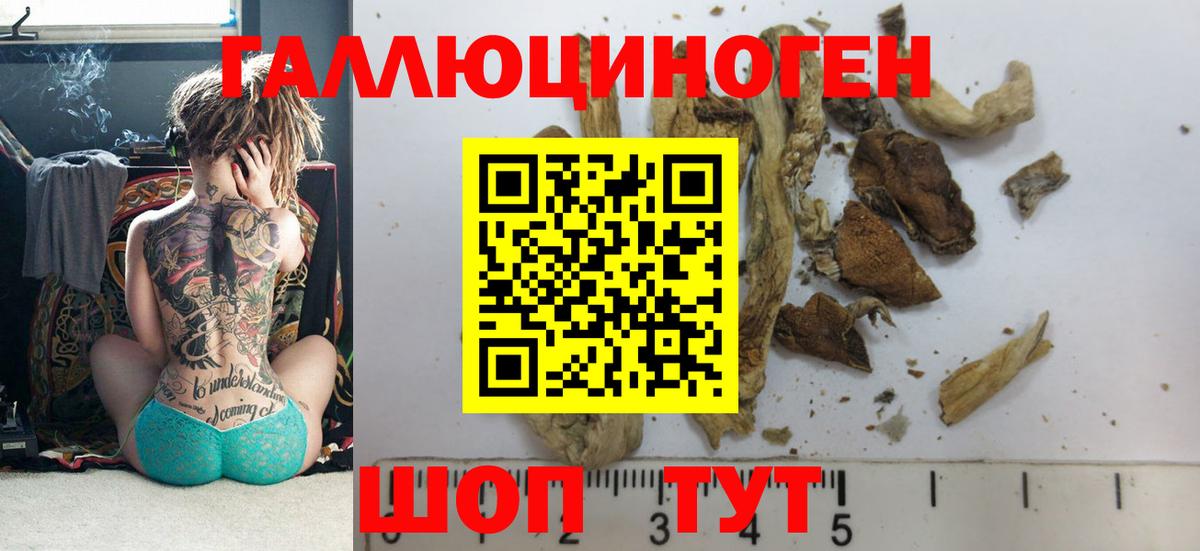 Псилоцибиновые грибы Magic Shrooms  закладки  Петропавловск-Камчатский  Вход с VPN 